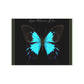 Personalized Note Card: Add a Personal Touch with Customized Stationery for Every Occasion. Butterfly Notecard Bundles