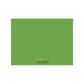 Personalized Note Card: Add a Personal Touch with Customized Stationery for Every Occasion. Green Feathers Notecard