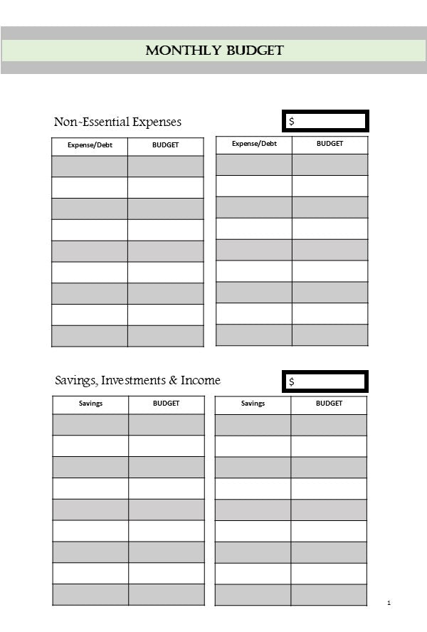 Debt Paydown Payoff Planner